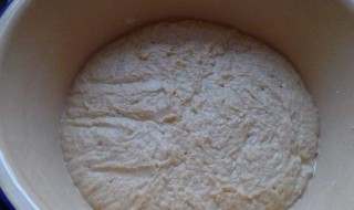面粉发酵哪种方法好（面粉发酵用什么发酵最好?）