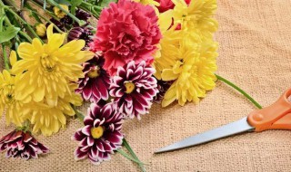 如何让鲜切花保存时间更久 鲜切花怎么保持