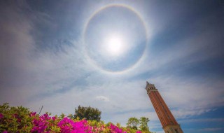 太阳为什么会有日晕（太阳为什么会有日晕和夜晕）