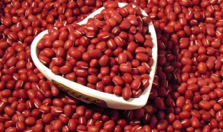 红豆是什么功效与作用 红豆是什么功效与作用及禁忌