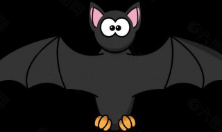 蝙蝠在家窗户上有什么征兆 蝙蝠在家窗户上有什么征兆吗