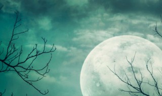 关于月的成语 关于月的成语和诗句