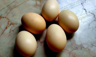 初生鸡蛋和土鸡蛋区别（初生土鸡蛋是什么意思）