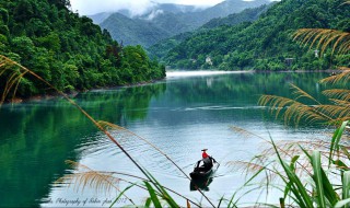 如何让池塘里的浑水变清（怎么能让池塘的水变清）