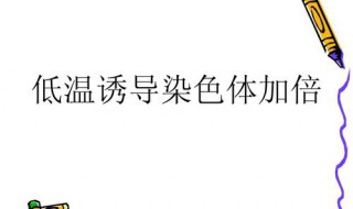 低温诱导有什么优点（低温诱导的作用）