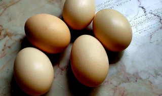 双黄蛋为什么不能孵出两个小鸡（双黄蛋为什么不能孵化）