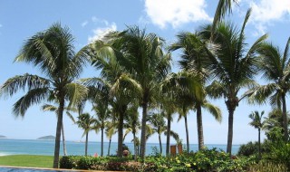 夏天去海南旅游好吗 夏天去海南旅游合适吗