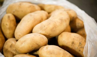 马铃薯皮有什么营养 马铃薯皮有什么营养和功效