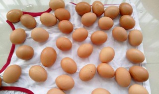 夏天鸡蛋放冰箱能保存多久 夏天鸡蛋能放冰箱吗保鲜吗