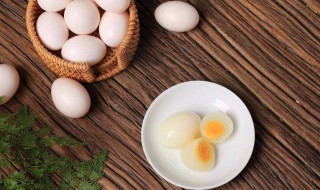 鸽子蛋可以放多久 鸽子蛋可以放多久不变质