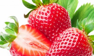 草莓养殖方法及注意事项 草莓养殖方法和注意事项盆栽