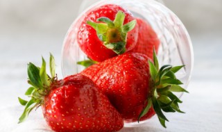 五月可以种草莓吗 五月可以种草莓吗冬天