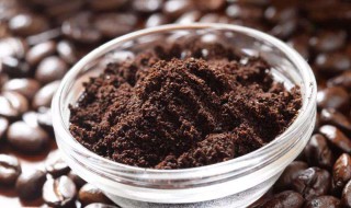 过期咖啡粉能做肥料吗 过期咖啡粉能做肥料吗有毒吗