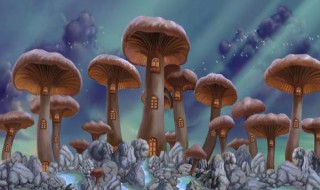 蘑菇怎么越种越多 蘑菇怎么长的多