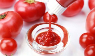 西红柿做番茄酱的家常做法（西红柿做番茄酱的做法窍门）