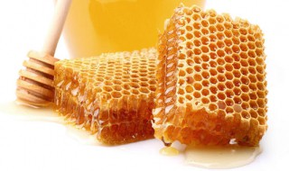 蜂蜜和蜂王浆的区别是什么（蜂蜜跟蜂王浆有区别吗有什么功效）