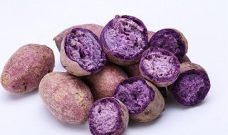紫薯不能和什么一起吃（紫薯不能和什么一起吃香哈）