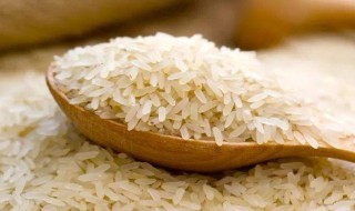 大米不能和什么一起吃 大米不能和什么一起煮粥