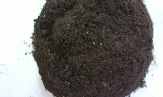 泥炭土和什么土搭配好 泥炭土配土比例