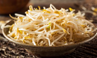 豆芽菜怎么做才好吃呢（豆芽菜怎么做才好吃呢窍门）