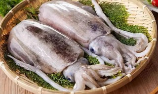 如何做墨鱼 如何做墨鱼好吃又简单视频