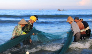 海鲜虱子处理方法 海鲜虱子处理方法图解