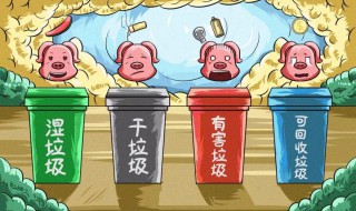 垃圾分类好处多（垃圾分类好处多作文）