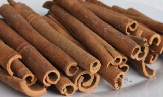 肉桂和桂皮的区别 肉桂和桂皮的区别功效与作用