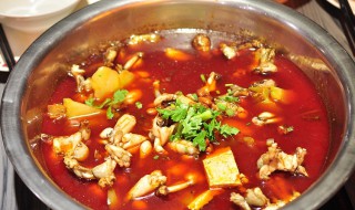 香油田鸡制作方法（香油鸡的做法视频）