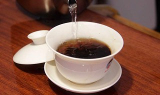 生普洱茶正确冲泡方法 生普洱茶泡法与步骤