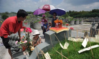清明节穿什么颜色衣服适合（清明节穿什么颜色衣服适合宝宝）