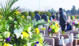 清明节扫墓应该准备什么（清明节扫墓应该准备什么东西）
