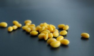 种黄豆技术和方法（种黄豆的技术）