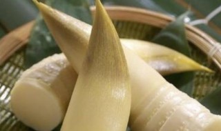 剥竹笋的正确方法 剥竹笋的正确方法图片