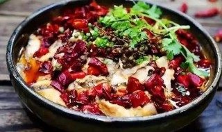 红油草鱼怎么做好吃（红油鱼的功效和吃法）