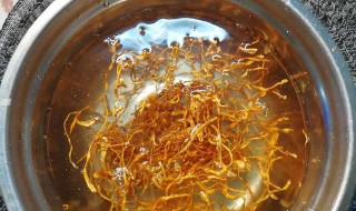 新鲜虫草花要不要焯水