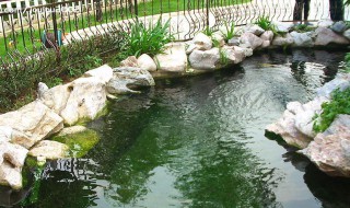 鱼池打氧的方法 鱼池怎么打氧气