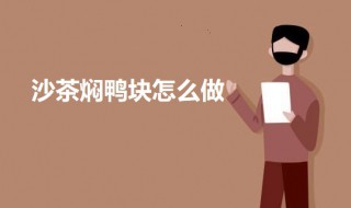 沙茶焖鸭块怎么做（沙茶焖鸭块怎么做的）
