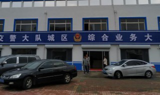 机动车违章处理（机动车违章处理时间限制）