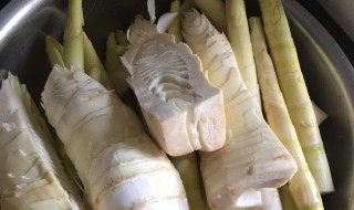 如何腌酸笋 如何腌酸笋尖