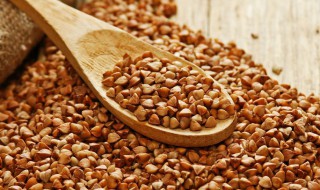 苦荞的功效和功效 苦荞的功效和功效是什么