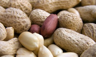 花生的功效与作用及禁忌（七彩花生的功效与作用及禁忌）