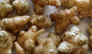 鬼子姜的功效 鬼子姜的功效与作用禁忌