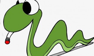 翠青蛇和竹叶青的区别（竹叶青）