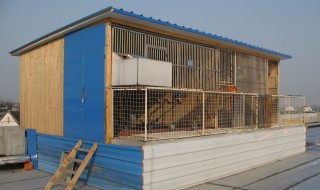 肉鸽养殖大棚设计图 鸽棚怎么搭建合理