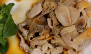 河蚌肉的作用与功效（河蚌肉的作用与功效与禁忌）