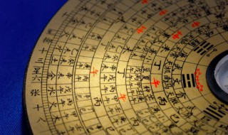 大林木命的忌讳什么（大林木命忌讳什么数字）