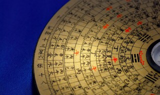 五行木代表什么意思（五行木代表什么意思是什么）