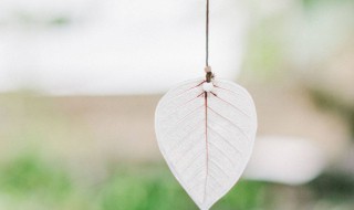 2021年已接近尾声说说文案（2021年接近尾声的说说）