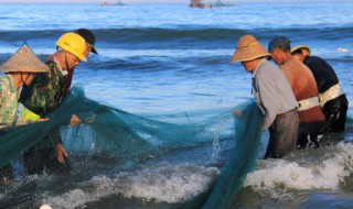 七星鱼是什么 七星鱼是什么谐音